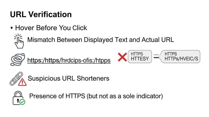 フィッシングメールを見分けるためのドメインとURLの確認ポイント図解