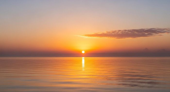 穏やかな心で迎える新しいキャリアの始まり