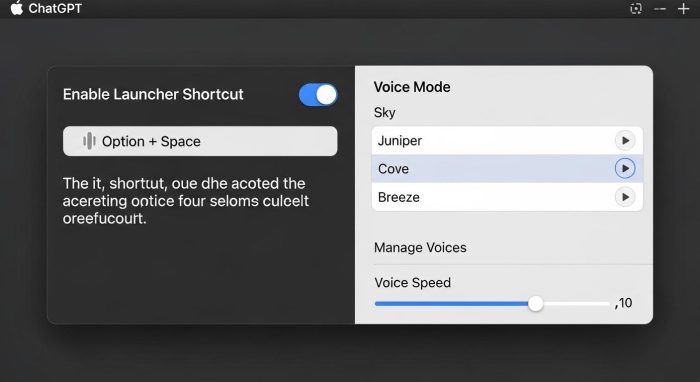ChatGPT Macアプリの設定画面インターフェース