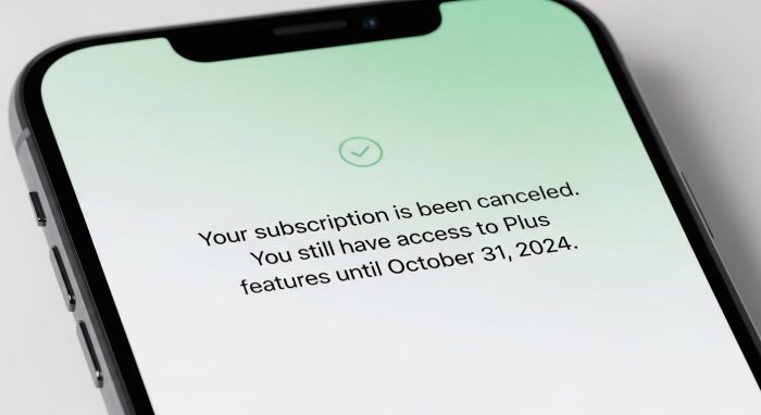 解約手続きが完了した後のChatGPT確認画面