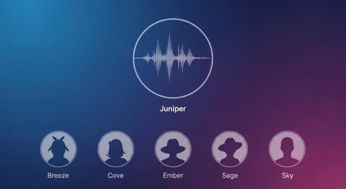ChatGPTで選べる複数の音声キャラクター一覧