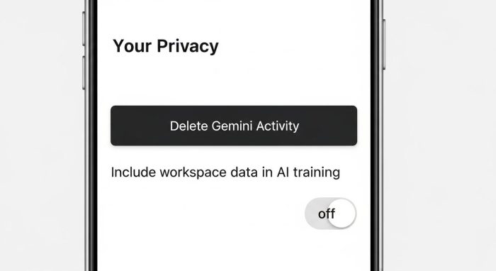 Geminiのプライバシー管理画面と履歴削除のオプション
